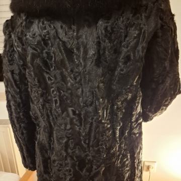 ASTRAHAN (PERZIJANER)