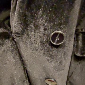 Baršunasti crni sako AMISU