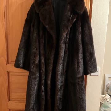 Bunda američka kuna