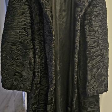 Bunda crna astrahan mlada ovca