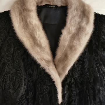 Bunda - crni klaun perzijaner