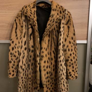 Bunda gepard