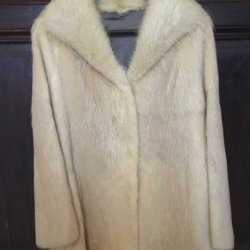 Bunda kratka nutrija