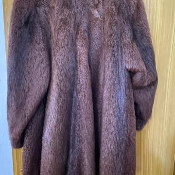 Bunda Nutrija poluduga - Sumrak