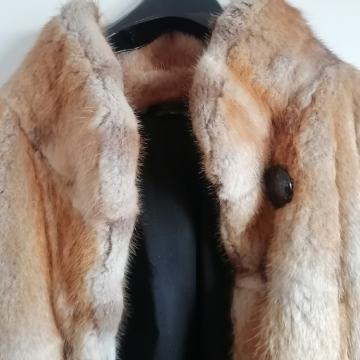 Bunda od nutrije br. 52