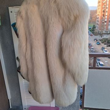 Bunda polarna lisica