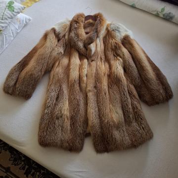 BUNDA OD PRAVOG KRZNA, LISICA