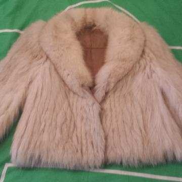 Bunda polarna lisica kratka