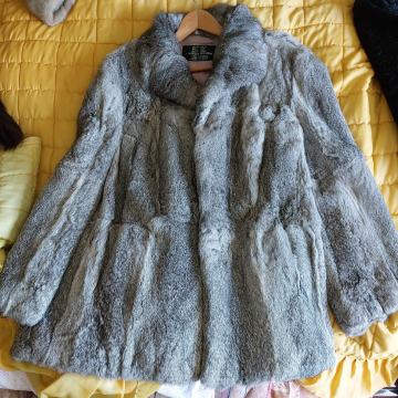 Bunda srebrna-vjeverica