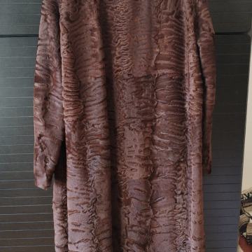 Dugi perzijaner - novi