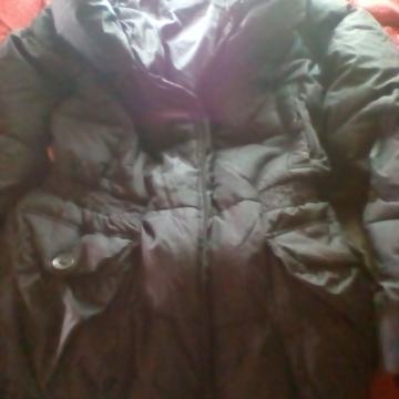 JAKNA LEVIS&CO-br 40-perje, pernata