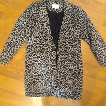 Kaput tigrasti moderan