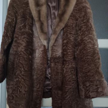 Kratka bunda, astrahan (perzijaner), br 42/44