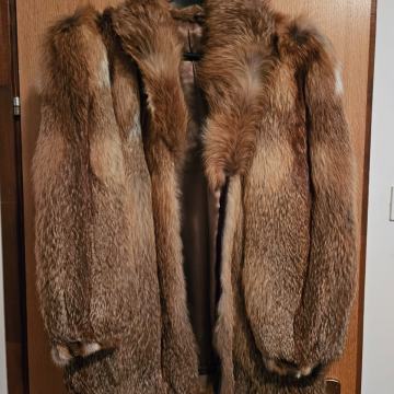 Kratka BUNDA od LISICE