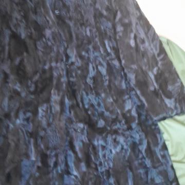 Perzijaner bunda dugačka