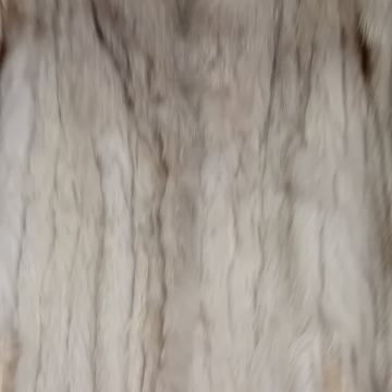 Prodajem bundu, kratka polarna lisica, vel.42