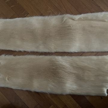 PRODAJEM KRZNO NUTRIJE