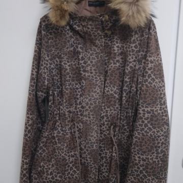 Proljetna parka DOROTHY PERKINS