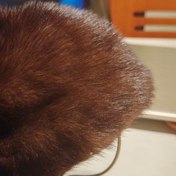 Šubara od pravog krzna.