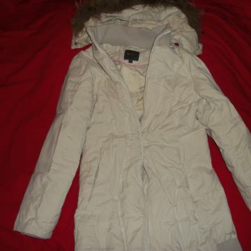 JAKNA-X-nation debela pernata, perje-br.38