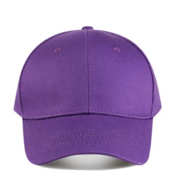 LJUBIČASTA ŠILTERICA -  NOVO