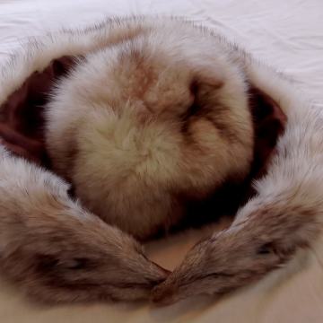 Kapa i šal polarne lisice - NOVO