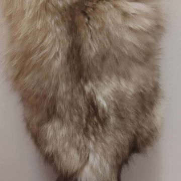 Okovratnik od lisice i kune