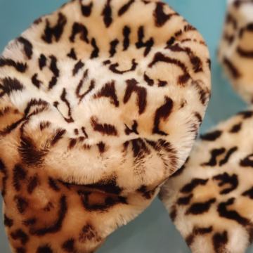 Šal i kapa od umjetnog krzna leopard uzorak.