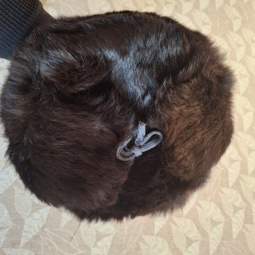 Šubara od kvalitetnog krzna