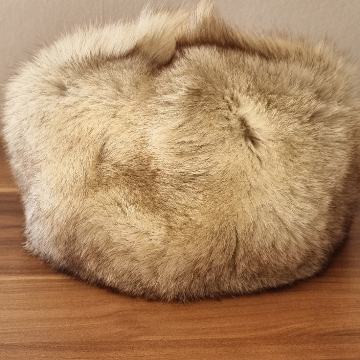 ŠUBARA plava lisica