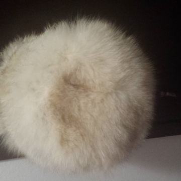 Subara srebrna polarna lisica i nerc