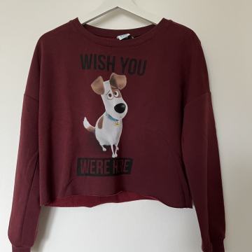 Wish you were here vl.S / TOTALNA ČISTKA