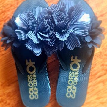 Japanke Colors of California