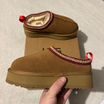 Ugg papuče Taz II