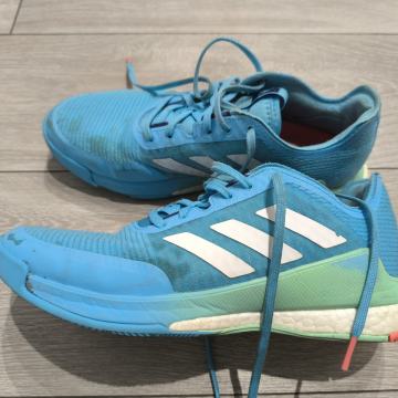 Adidas Crazyflight tenisice