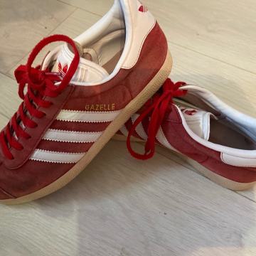 Adidas gazele