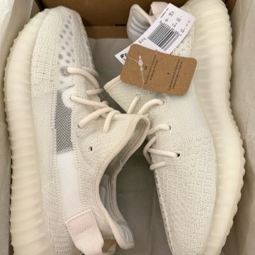 Adidas Yeezy 350