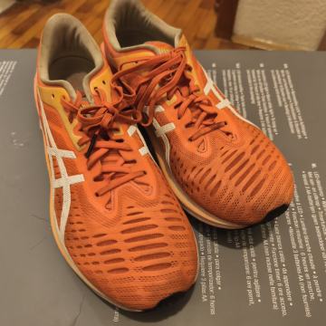 Asics patike za trčanje 41,5 (26cm)