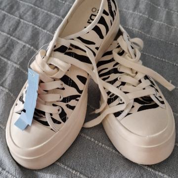 Nove D.Frankline tenesice - zebra uzorak