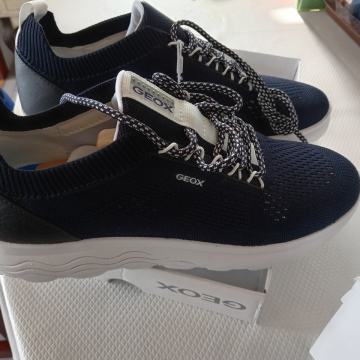 Geox spherica