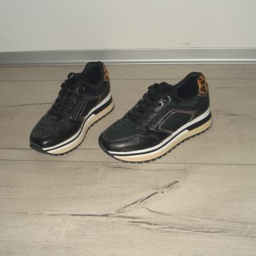 GRACELAND TENISICE br.36