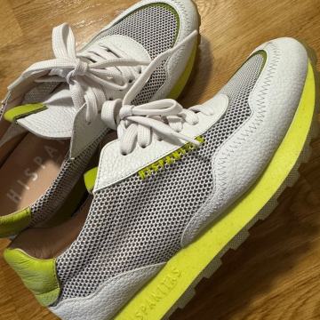 Hispanitas zenske tenesice br 40