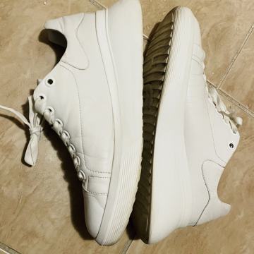 Hogl kožne tenisice, broj 42