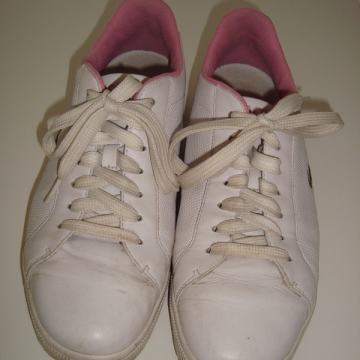 Lacoste carnaby patike vl.39 / RASPRODAJA