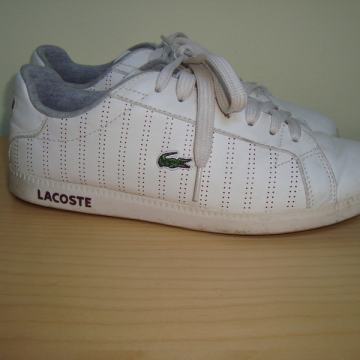 Lacoste graduate pinstripes vl.40/41 / RASPRODAJA