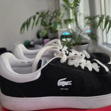Lacoste tenisice br 38, koža