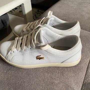 Lacoste tenisice