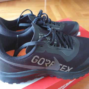 Tenisice za trčanje Nike Trail Pegasus Goretex, br. 40 (realno 39)