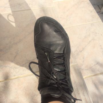 Puma ženske tenisice