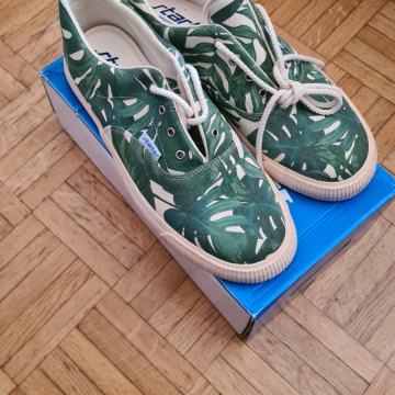 Startas vedre tropico